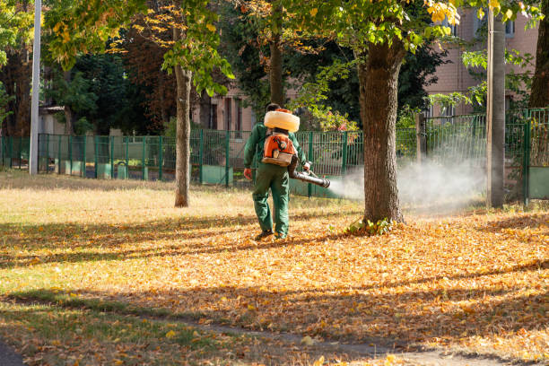 Best Best Pest Control Companies  in Camp Hill, PA