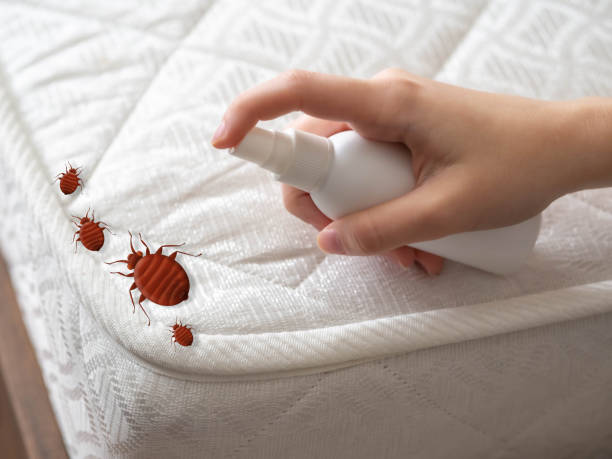 Best Pest Removal Services  in Camp Hill, PA