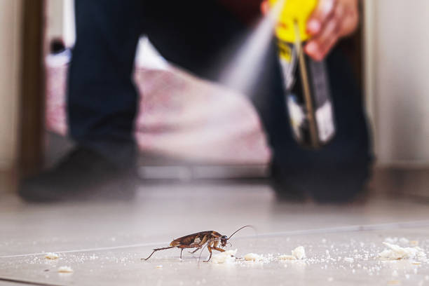 Best Pest Control for Homes  in Camp Hill, PA